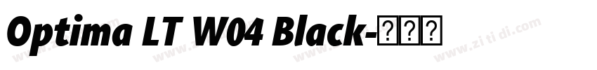 Optima LT W04 Black字体转换